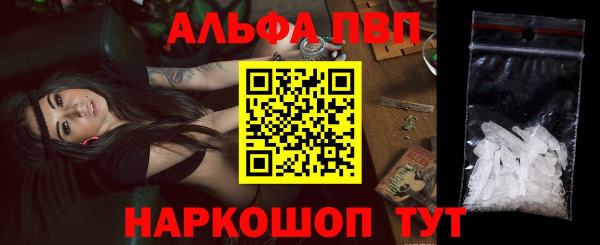 Киселёвск  Альфа ПВП СК КРИС  Вход с VPN 