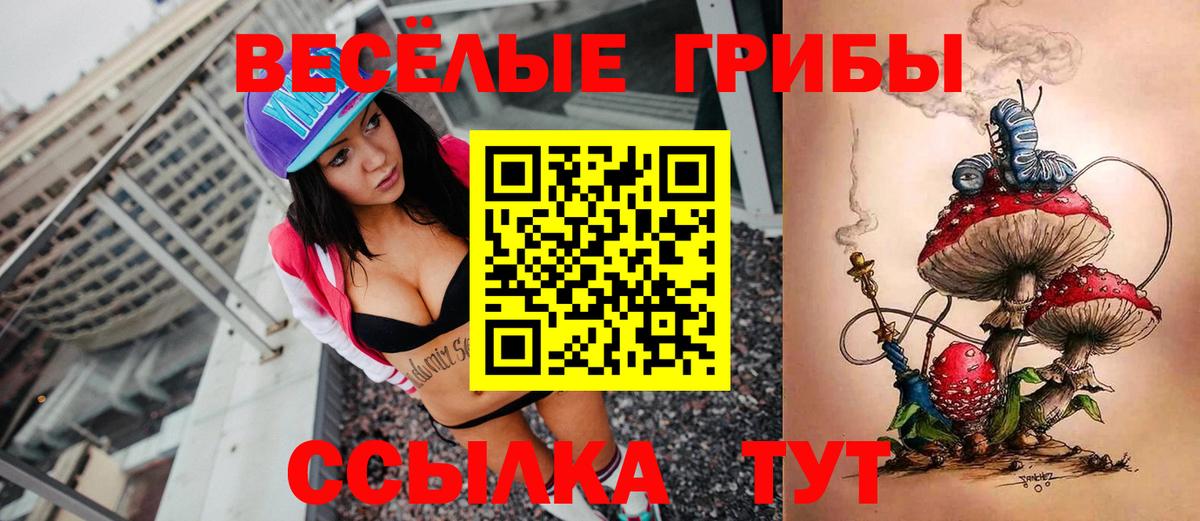 купить наркотик  Псилоцибиновые грибы Psilocybe  Вход с VPN  Киселёвск 