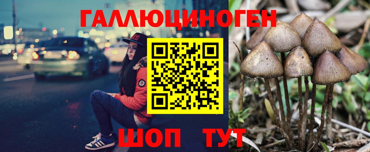 Псилоцибиновые грибы GOLDEN TEACHER Киселёвск